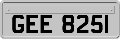 GEE8251