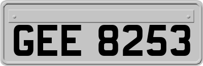 GEE8253