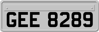GEE8289