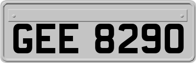 GEE8290