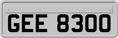 GEE8300