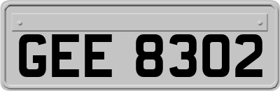 GEE8302