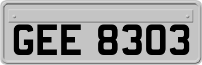 GEE8303