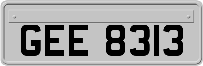 GEE8313