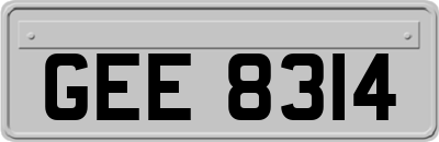 GEE8314