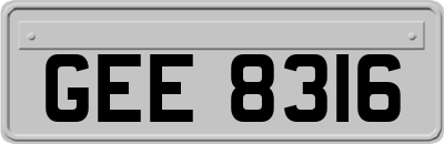 GEE8316