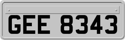 GEE8343