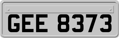 GEE8373