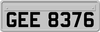 GEE8376
