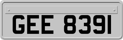 GEE8391