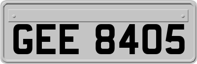 GEE8405