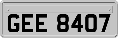 GEE8407