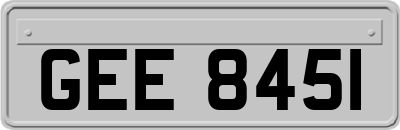 GEE8451