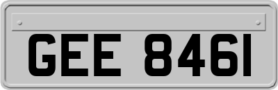 GEE8461
