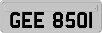 GEE8501