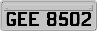 GEE8502