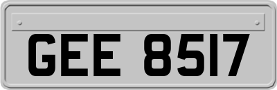 GEE8517