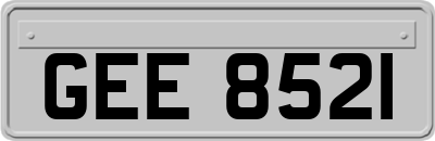 GEE8521