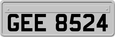 GEE8524
