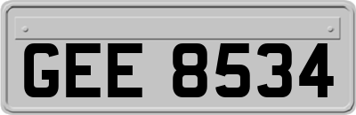GEE8534
