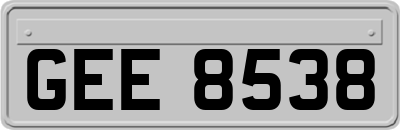 GEE8538