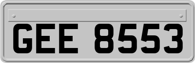GEE8553