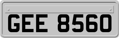 GEE8560