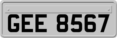 GEE8567