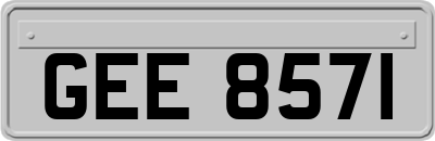 GEE8571