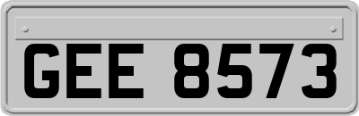 GEE8573