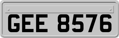 GEE8576