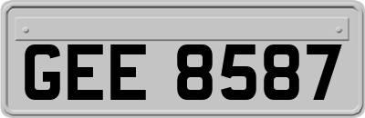 GEE8587