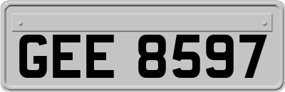 GEE8597