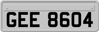 GEE8604