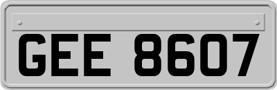 GEE8607