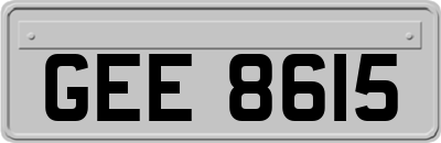 GEE8615