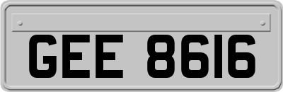 GEE8616