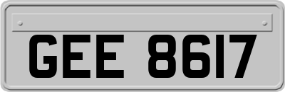 GEE8617