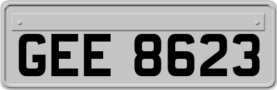 GEE8623