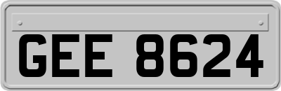 GEE8624