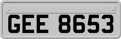 GEE8653
