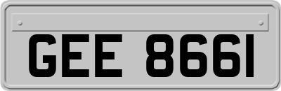 GEE8661