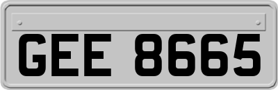 GEE8665