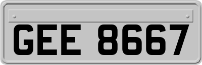 GEE8667