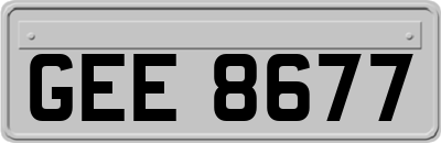 GEE8677