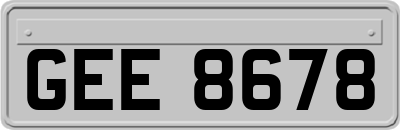 GEE8678