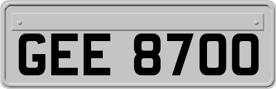 GEE8700