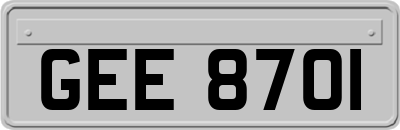 GEE8701