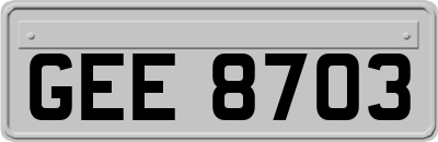 GEE8703