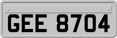 GEE8704